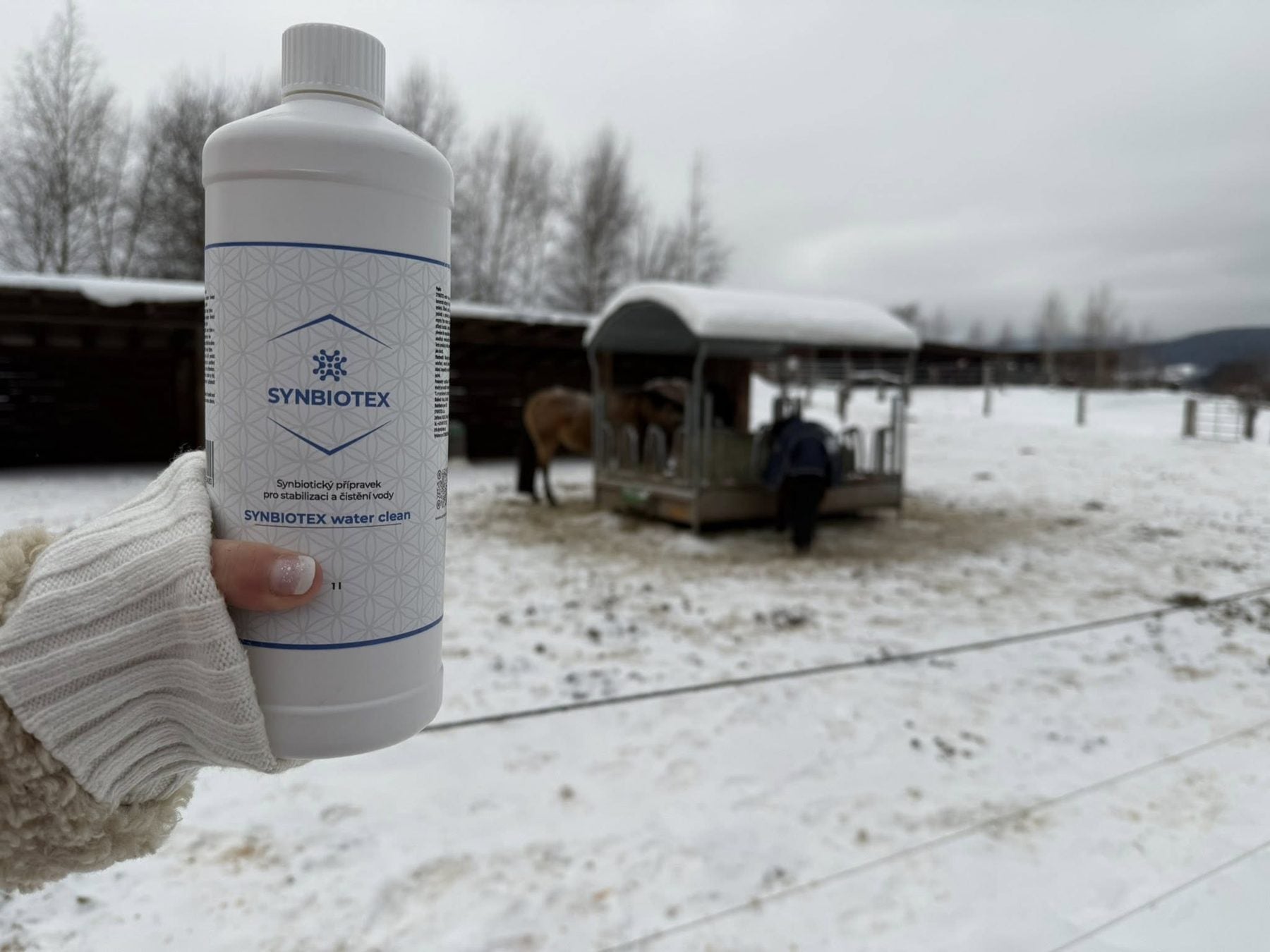 Láhev SYNBIOTEX water clean u výběhu s koňmi